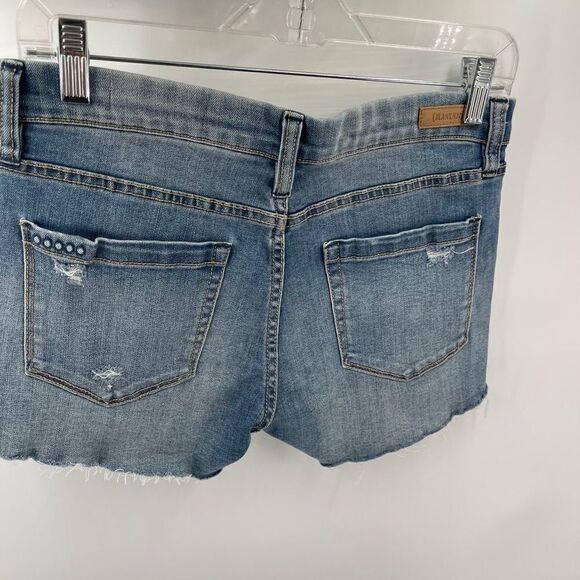 blankNYC Hiker Short jean shorts jorts embroidered 27 EUC distressed - Picture 8 of 15